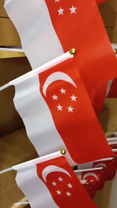 🚩2026 Singapore National Day Hand Flags 🚩50/100Pcs Wholesale 20*28cm Mini Singapore Handheld Flag Decor