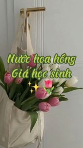 Toner Tía Tô Dưỡng Sáng Se Lỗ Chân Lông 500ml Nhật Bản