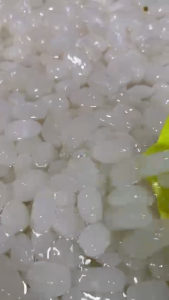 500g Hạt đác cho mọi người dùng thử làm đác rim nấu chè siêu ngon