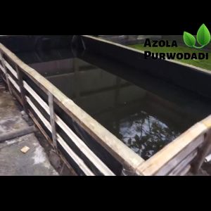 Plastik HDPE Geomembran 200 micron 4 x 20 meter untuk kolam / tambak
