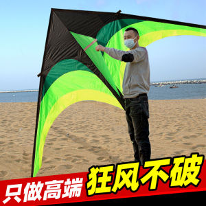 Large Size Professional Kite Easy to Fly in Light Wind for Adults New 2025 Grassland Kite Sport Fitness Fans Supplies
