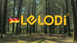 LELODI Scraper Removal Tool for Glass Glue and Grouting Multifunctional Glue Applying Trimming and Cleaning