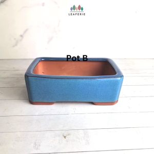 The Leaferie Petit Bonsai Pot (Series 9) . Rectangular Plant pot . Ceramic Flowerpot . rectangle Planter . small pots Potion 9 P9 Pot - Lazada