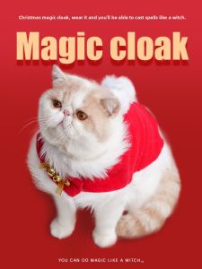 YCQPET | Funny Christmas Red Cat Clothing