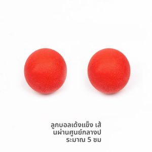 ของเล่นยางสำหรับสุนัข Amor A1 ที่ทนทานต่อการเคี้ยว ทรงกลม ทรงกระบอก อุปกรณ์ฝึกสุนัข ยางทนทาน ขนาดกลาง