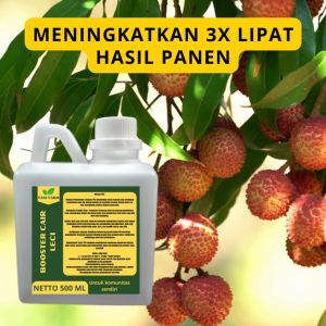 Pupuk Pelebat Leci / Pupuk Buah Leci / Pupuk Booster Leci / Pupuk Leci