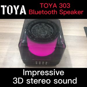 Karaoke Speaker 3D Stereo Amplifier with Mic Bluetooth Speaker with Microphone