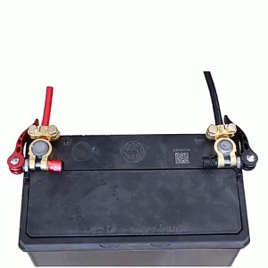 Emika Choice 2 Pcs 4 Way Car Battery Terminal Clamp Connector Quick Release for SAE/JIS Type A Posts