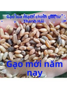 Hạt Mạch Nha Đã Bóc Vỏ Chất Lượng Cao