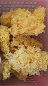 雪耳 银耳 100g White Fungus 散花雪雪耳 漳州幼耳 白木耳 无硫银耳 养颜 Cendawan Kuning Cendawan Putih Kering Xue Er Dessert Chinese Herb