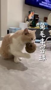 3pcs Rabbit Fur Ball Interactive Cat Toy Pet Product Containing Catnip Toy Ball Chasing Plush Toy Ball Cat Accessories 8cm