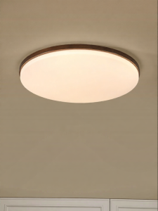 DGY | Circular Thin New Chinese Style Zen Style Ceiling Light