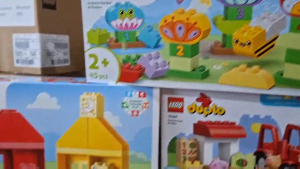 LEGO Duplo 10480 Discovery Forest with Wild Animals