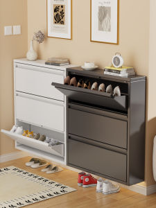 DIBIOU | Steel Flip Front Large Capacity Shoe Cabinet With Lock
