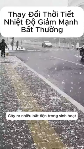 SET 5 CẶP MIẾNG DÁN NGẢI CỨU – Làm Ấm Bụng Giảm Đau Kinh Giúp Dễ Chịu Suốt 6H