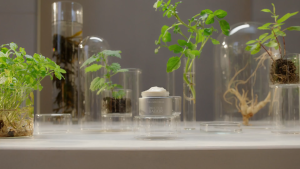 DOCTOR BABOR REGENERATION The Cure Cream 50ml