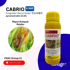 BASF CABRIO 500ML Pyraclostrobin 23.6% Fungicide Racun Kulat Antraknos Hawar Sigatoka Blight Bintik Mata Burung Cili Terung Timun Jagung Mangga