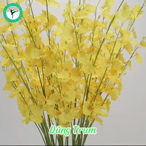 Hoa Lan Vũ Nữ Trang Trí Gồm 5 Nhánh Dài 1m Đủ Màu Sắc