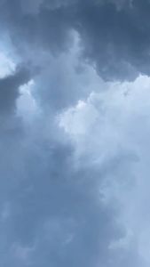 Savarez 500CR Senar Gitar Klasik Nylon Normal Tension New Cristal Corum - Kualitas Premium dengan Trebles New Cristal yang Transparan (Original)