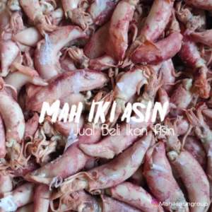 Ikan Cumi sotong 500gram