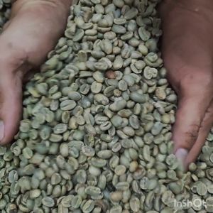 GREEN BEAN ARABIKA FLORES BAJAWA FULL WASH / KOPI MENTAH - 1 KG