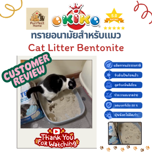 ทรายแมว OKIKO โอกิโกะ ทรายแมวเบนโทไนท์ Indoor ขนาด 10 ลิตร 🐱🧡 จำนวน 1 ถุง