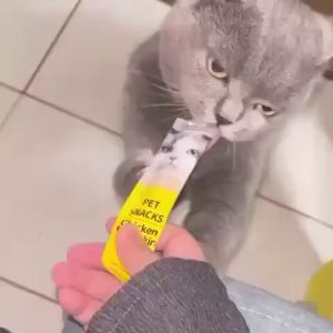 PETSEE High Vitamin Creamy Cat Treat Cat Snack Cat Stick Cat Wet Food Jajan Makanan Kucing 猫条