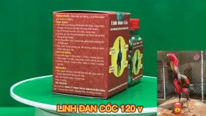 LINH ĐAN CÓC chắc khỏe gân cốt gân gối dẻo dai cho gà đá gà đòn gà tre 1 HỘP 120 VIÊN