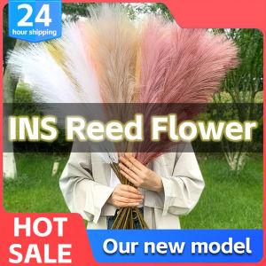 12PCS fluffy artificial Pampas grass artificial flowers 56cm long stem Pampas grass branch wedding and home decoration