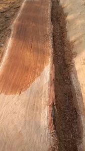 ไม้แผ่นเดียว แผ่นไม้สะเดา รูปทรงไม้ ลายไม้สวยตามธรรมชาติ ฟรีส่ง มีโต๊ะกาแฟ และรับแขกโต๊ะกินข้าว เพิ่มเติมเก็บเงินทาง ทั้งสร้างใหม่ โต๊ะกระชับ โต๊ะกาแฟ และโต๊ะรับแขกโต๊ะกินข้าว โต๊ะอาหาร ประชุม สำหรับสถานะการบริโภค เพื่อให้คุ