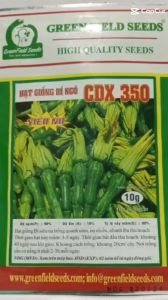 (Gói  10 gram ) Hạt giống bí siêu nụ - kháng bệnh tốt năng suất cao