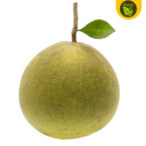 binhi suha pomelo 5 Seeds for planting fruit ree
