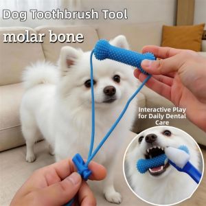 Petone dOrage | Teeth Cleaning Rubber Chew Entertainment Toy