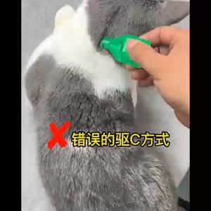 FRONTLINE Plus Anti Ticks and Fleas Control for Dogs and Cats Repellent Anti-Flea Anti-Itching