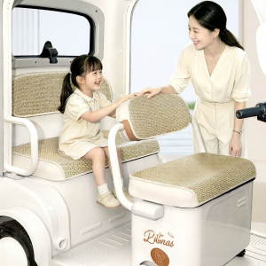 Electric Tricycle Seat Cover