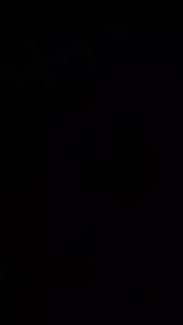 driver Tweeter kecil  AIRROW HL-105G Tweeter Walet