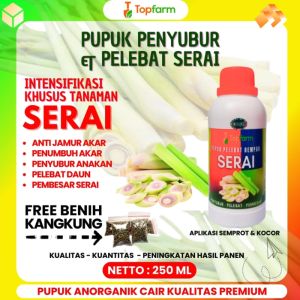 Pupuk Sereh Berkualitas: Panduan Lengkap