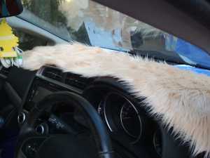 Bulu Dashboard Mobil