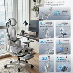 Ghế Văn Phòng Học Ergonomic