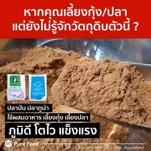 เปลี่ยนแปลงปลาป่นโปรตีนสูง 60% เพียวฟีด แบบหอมปลาทูน่า กระตุ้นการกิน โตไว ตัดโรคเสริมภูมิ เหมาะสัตว์น้ำ และปศูสัตว์ 1 ถุง 25kg P60