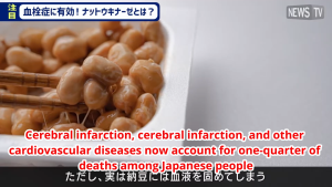 Herbase | Nattokinase 12000 FU Lower Blood pressure Cholesterol Triglycerides Dissolve clots
