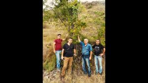 WILD WINE SET 3x 750ml - NATURAL WINES FROM GRAPES GROWING IN THE WILD NATURE - NATENADZE WINES