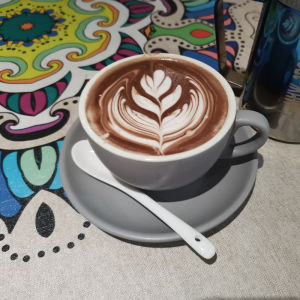 Seelove SLO Italy WBC Competition Cafe Professional Khaki Latte Latte Art Thick Coffee Cup 240ml