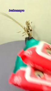 Tisu Basah Anak Bayi Pure Baby Wipes No Alcolhol 80 Sheet