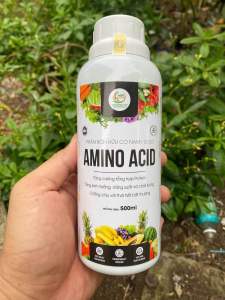 PHÂN BÓN AMINO ACID TĂNG CƯỜNG TỔNG HỢP PROTIEN TĂNG NĂNG SUẤT VÀ BẢO VỆ CÂY TRỒNG CHAI 500ML