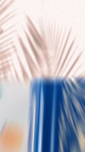 Sách - Combo Bá Tước Monte Cristo (Bìa Cứng) + Quo Vadis (Bìa Cứng)