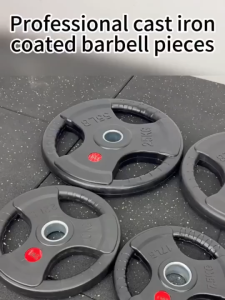 Rubber coated cast iron dumbbell plates 2.5LB/5LB/10LB/25LB/35LB/45LB for barbell gym home strength training