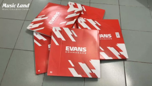 Mặt Trống Snare Evans B14G1 Chính Hãng 14 In Của Mỹ