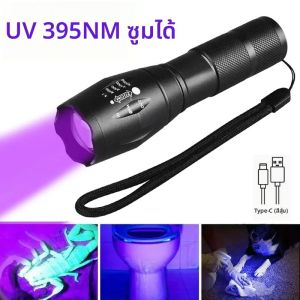 ไฟฉายยูวีแบบพกพาขนาดเล็ก 365nm/395nm ชาร์จซ้ำได้ - ไฟฉาย LED พกพาสำหรับตรวจสอบปัสสาวะสัตว์เลี้ยง ตรวจจับการรั่วไหล