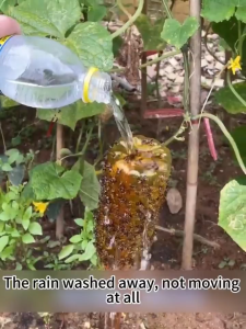 260ml/450ml Fruit Fly Trap Attractant Spray Long-lasting Stickiness Rainproof Supernet Insect Trap Spray Add Methyl Eugenol Resistant To Rain Washout